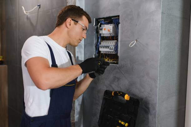 Best Electrical System Inspection  in Saranac, MI