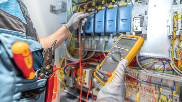 Best Electric Panel Repair  in Saranac, MI