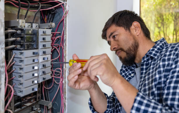 Best Generator Installation Services  in Saranac, MI
